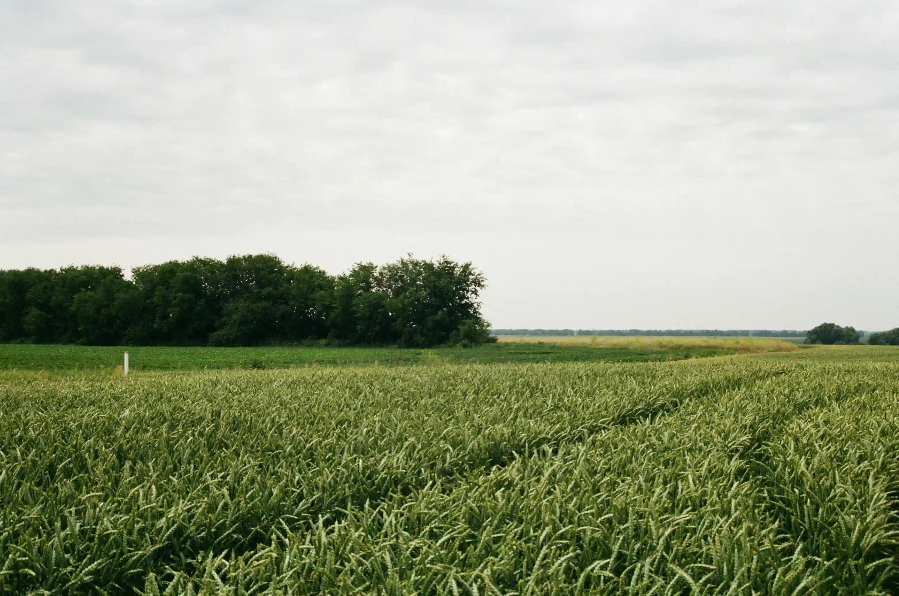 Agricultural Land
